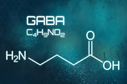 GABA molecular structure diagram