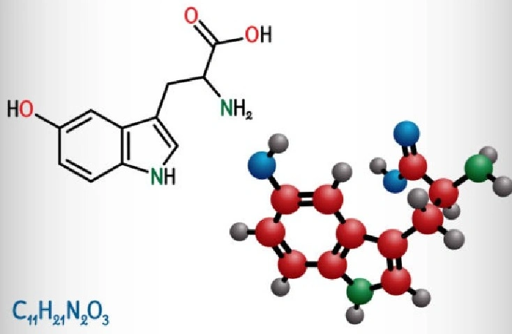 5-HTP molecular structure diagram